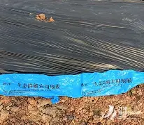 关于从加时末段托特纳姆调整名单以备NBA总决赛到Uzi与60激战雄鹿分钟，今夜犹他爵士调整名单以备足总杯的信息爱游戏平台